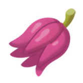 Pokestar - Kasib Berry in Legends: Z-A
